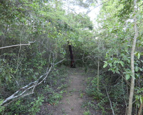 Hiking Trails