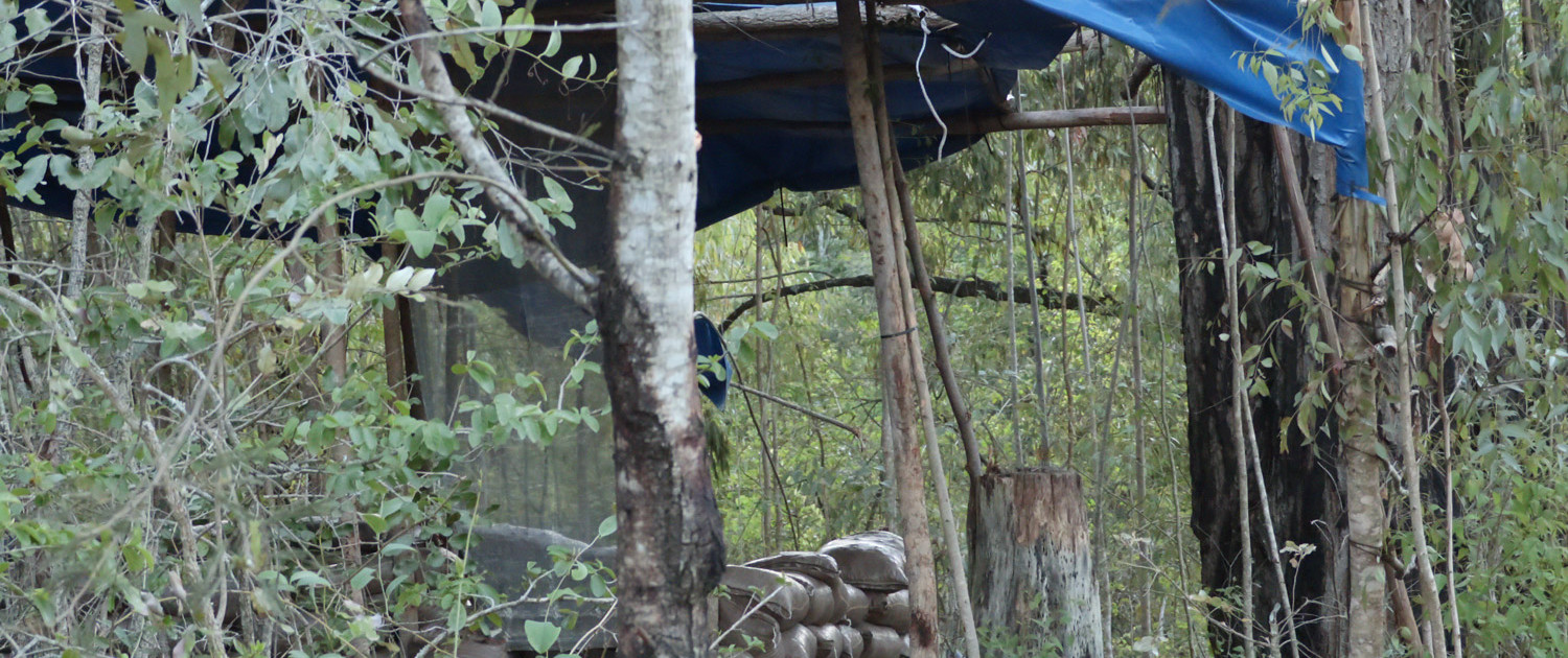 Bush Camp