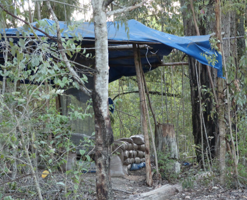 Bush Camp
