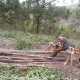 Milites Dei Student Building in Nature