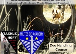 Dog Handling Training