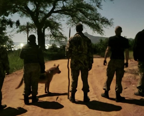 Three-Month Basics Sponsors Malinois