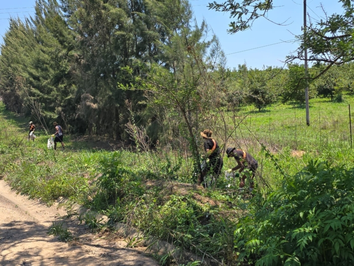 Community Project Milites Dei Academy - cleaning R538 Numbi Road