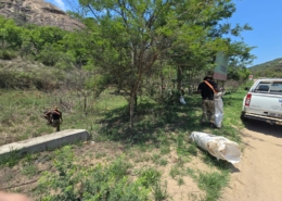 Community Project Milites Dei Academy - cleaning R538 Numbi Road