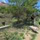 Community Project Milites Dei Academy - cleaning R538 Numbi Road