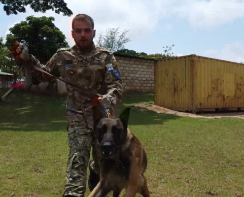 K9 Handling Army Three-Month Basics Training
