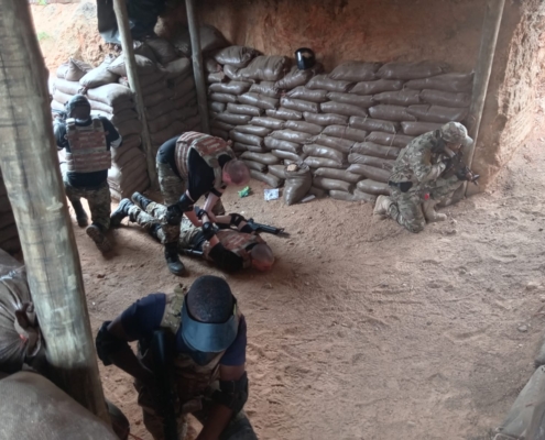 Tactical Firearm Training