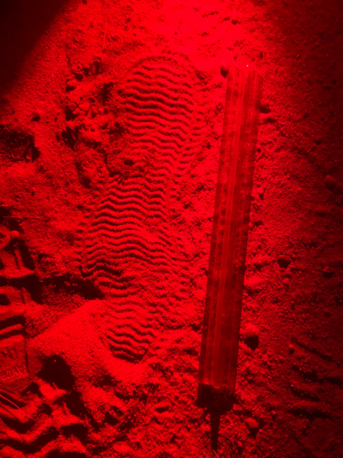 Red-lit training tracks at night